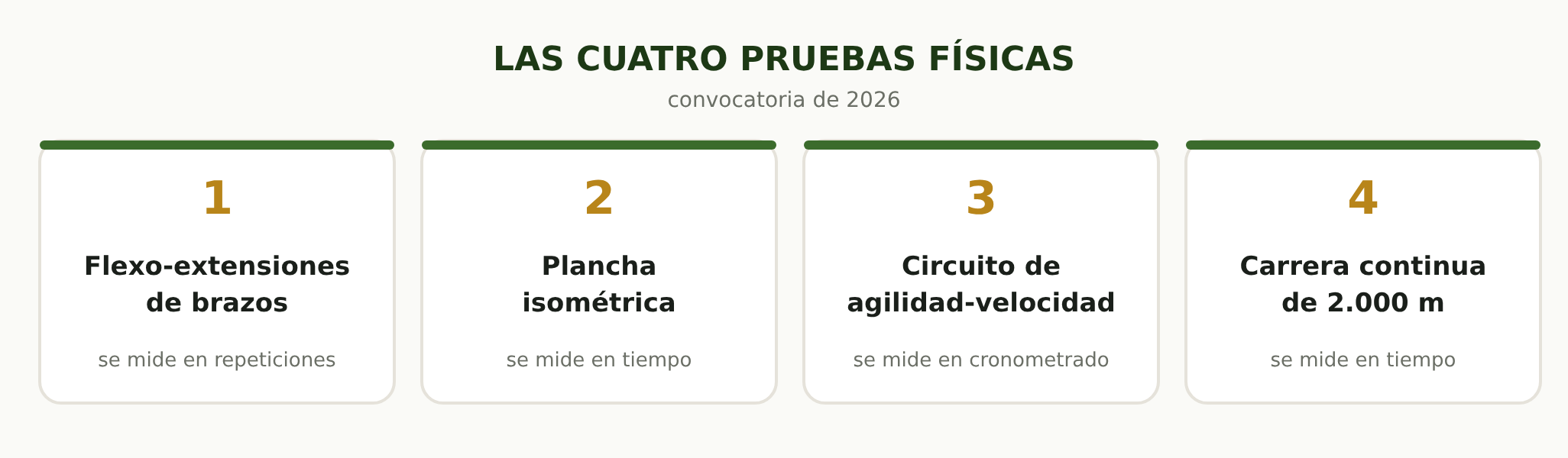 Las cuatro pruebas físicas de la convocatoria de 2026: flexo-extensiones, plancha isométrica, circuito de agilidad y 2.000 metros